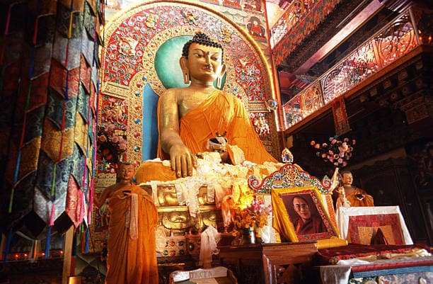 Gallery 6
